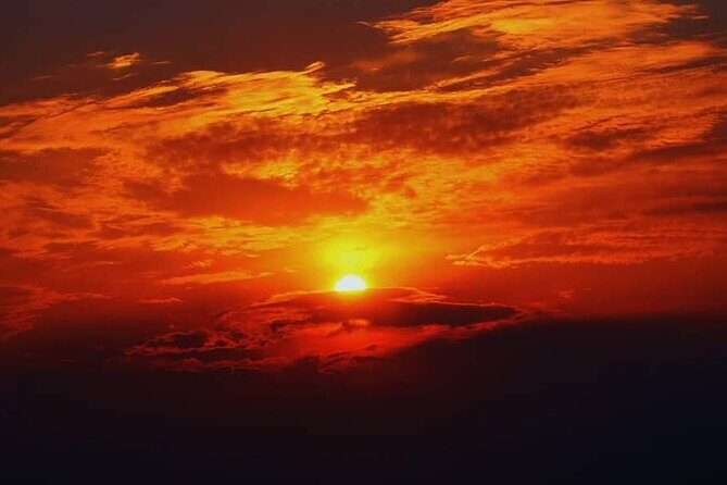 Full day Kruger National Park Tour - FAQ