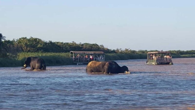 Full Day KwaZulu Hluhluwe-Imfolozi and iSimangaliso Tour - Key Points