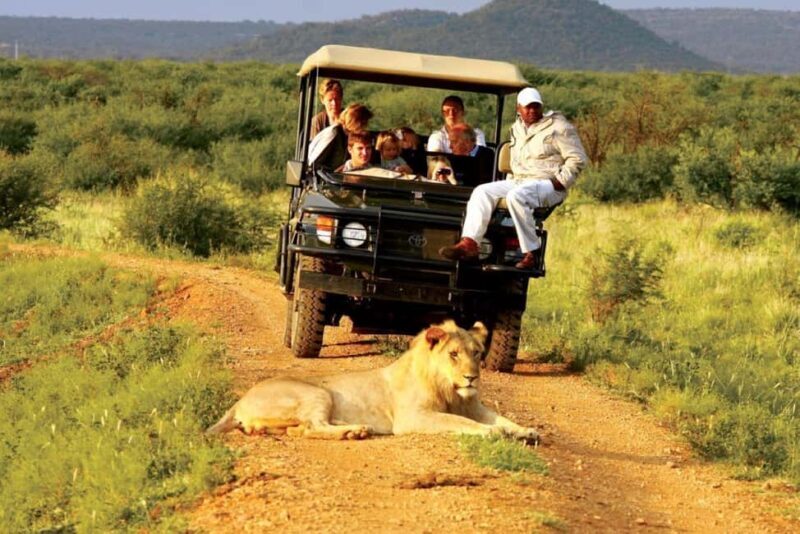 Full Day KwaZulu Hluhluwe-Imfolozi and iSimangaliso Tour - Who Will Love This Tour?