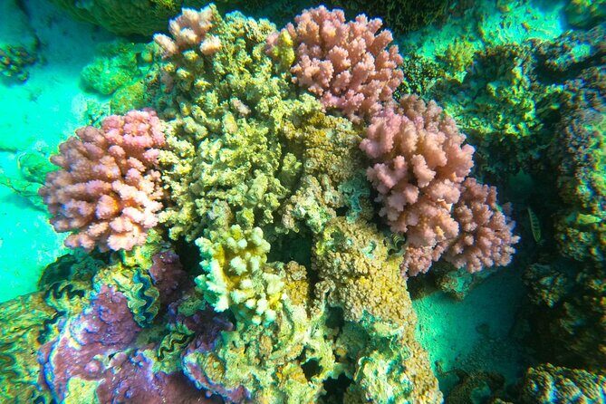 Full-day Lagoon Safari Tour with Lunch in Bora Bora - Shared tour - FAQs