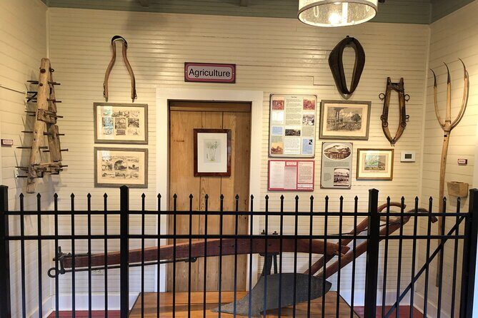 Full-Day Laura Plantation & Airboat Swamp Tour with Pick up - The Sum Up: Who Should Consider This Tour?