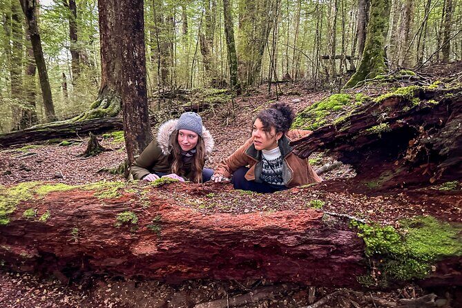 Full Day Lord of the Rings Mavora Lakes Adventure! - An In-Depth Look at the Itinerary