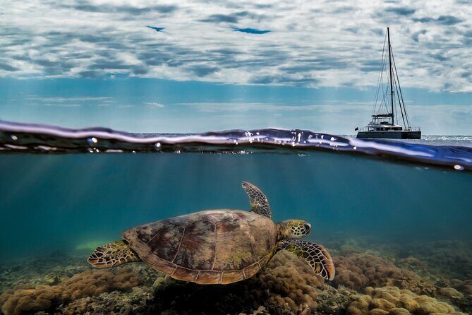 Full Day Low Isles Sailing & Snorkelling Cruise from Port Douglas - Lunch and Relaxation