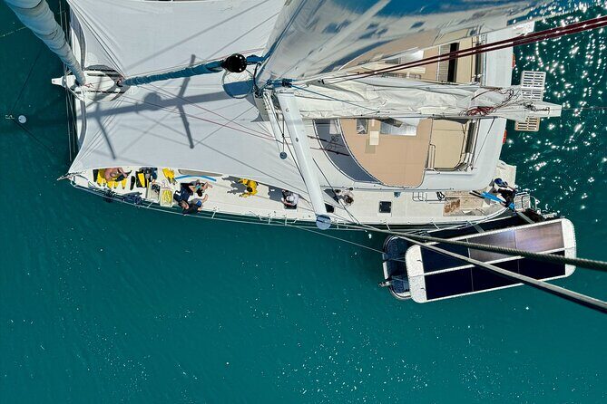 Full Day Low Isles Sailing & Snorkelling Cruise from Port Douglas - Return Journey and Final Thoughts