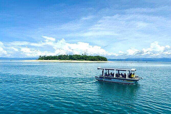 Full Day Low Isles Sailing & Snorkelling Cruise from Port Douglas - Who Would Love This Tour?