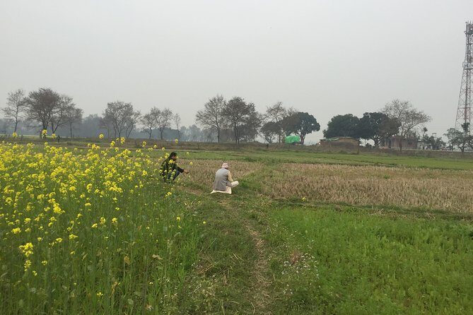 Full Day Lumbini Tour - The Itinerary in Detail