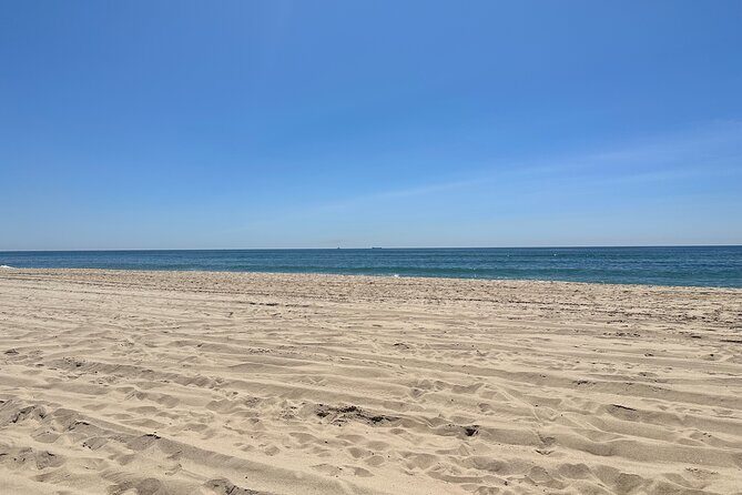 Full-Day Luxury Long Island Private Winery Tour - The Sum Up