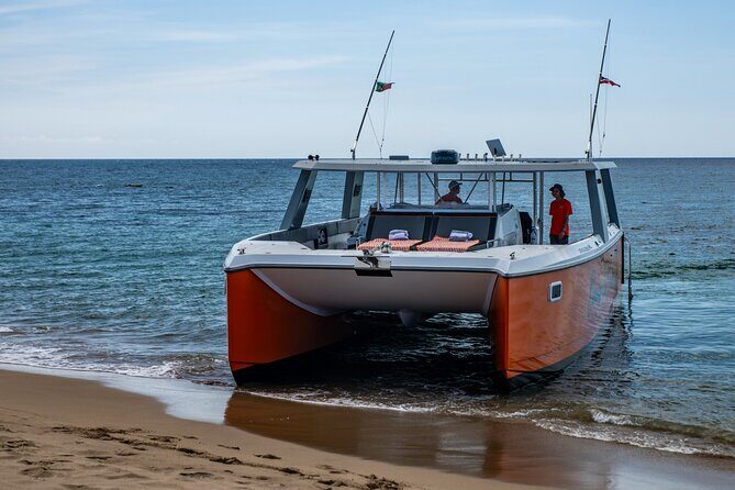 Full Day Luxury Snorkel Charter With Lunch (Minimum 10 Guests) - An Overview of the Experience