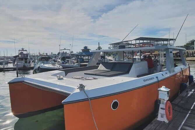 Full Day Luxury Snorkel Charter With Lunch (Minimum 10 Guests) - The Value of the Experience