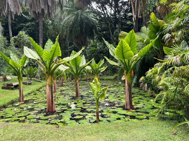 Full day Mahe Tour - Key Points