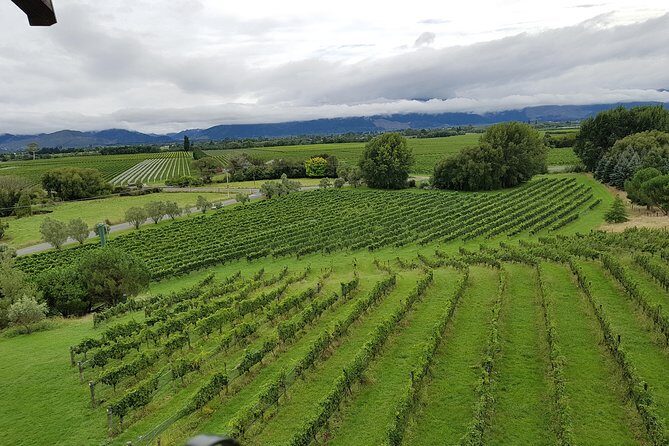 Full-Day Marlborough Catamaran Cruise with Wine Tour and Lunch - Who Will Love This Tour?