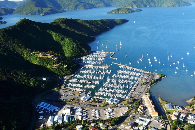 Full-Day Marlborough Scenic and Wine Tour from Blenheim - An In-Depth Look at the Itinerary