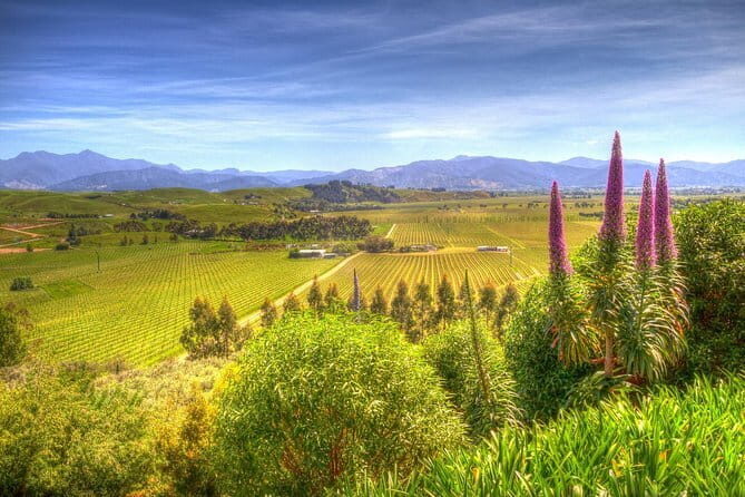Full-Day Marlborough Scenic and Wine Tour from Blenheim - Authentic Experiences and Traveler Feedback