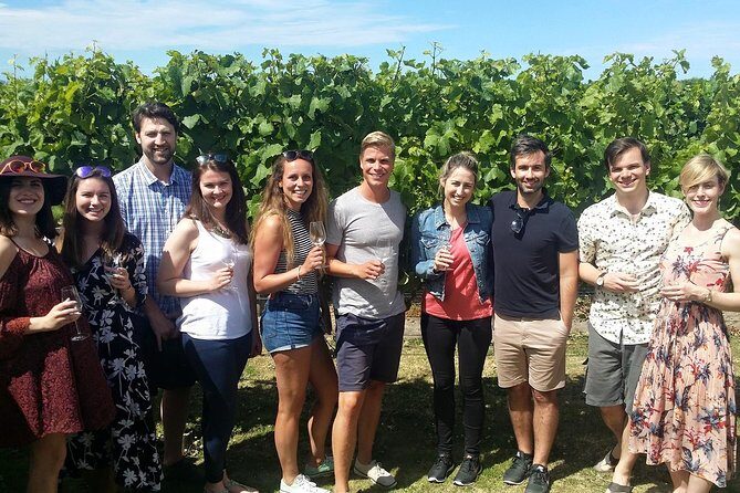 Full-Day Marlborough Wine Tour from Blenheim - Pricing and Value