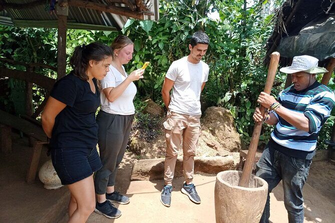 Full Day Materuni Water Falls, Hiking and Coffee Making Tour in Moshi - Full Day Materuni Water Falls, Hiking and Coffee Making Tour in Moshi