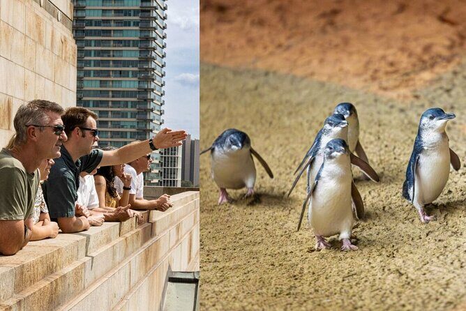 Full-day Melbourne City Sightseeing with Penguin Parade - Key Points