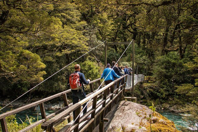 Full-Day Milford Sound Tour with Cruise and Walks from Te Anau - The Small-Group Advantage