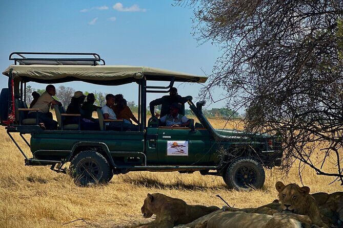 Full-Day Mokoro Experience in the Okavango Delta - Practical Tips for Future Travelers