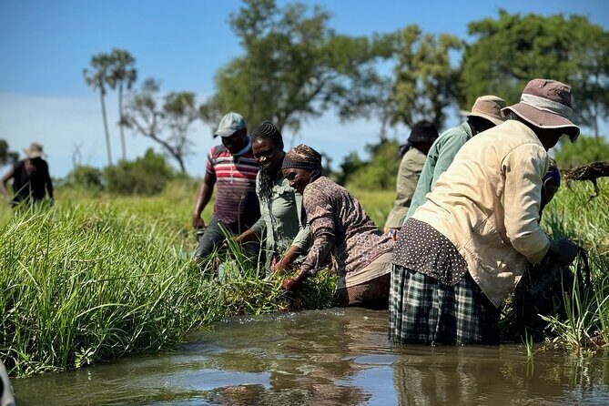Full-Day Mokoro Experience in the Okavango Delta - Who Will Love This Experience?