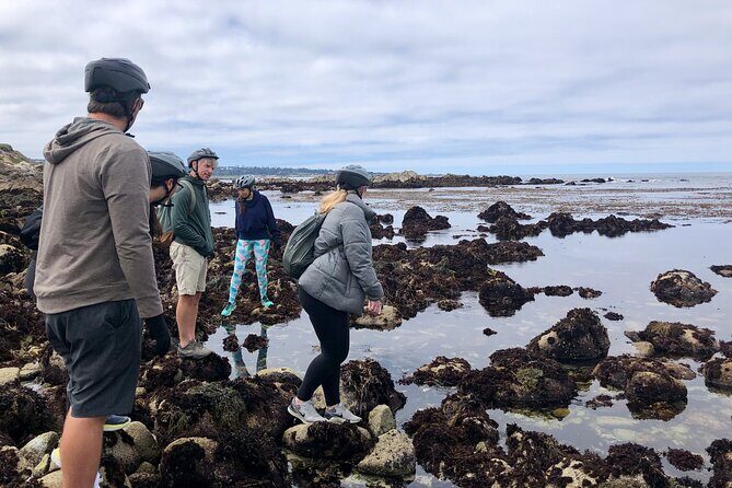 Full Day, Monterey Peninsula, 17 Mile Dr and Carmel eBike Rental - Lunch, Leisure, and Golden Hour