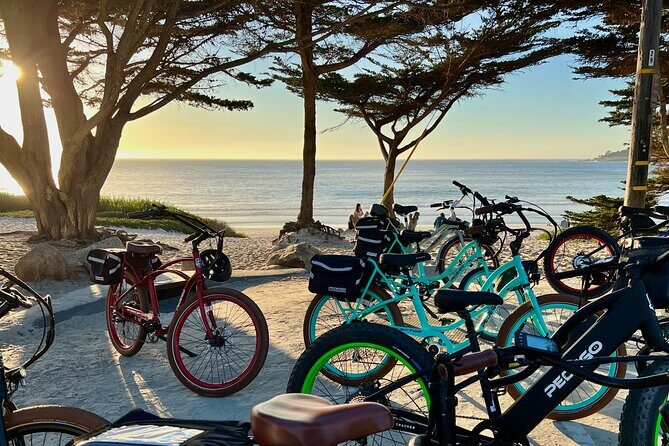 Full Day, Monterey Peninsula, 17 Mile Dr and Carmel eBike Rental - Real Traveler Insights and Practical Tips