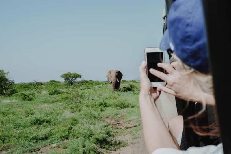 Full Day Moremi Safari Experience from Maun - An In-Depth Look at the Full Day Moremi Safari