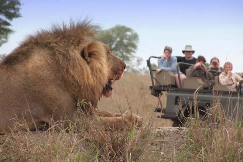 Full Day Moremi Safari Experience from Maun - Why Choose This Safari?