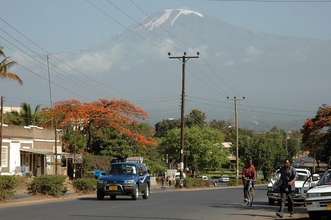 Full-Day Moshi Private Forest Walk and Local Market Tour - Key Points