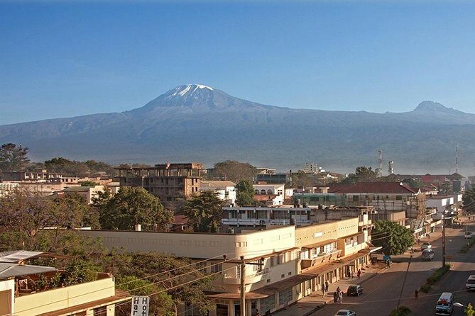 Full-Day Moshi Private Forest Walk and Local Market Tour - Exploring Moshi: An Authentic Introduction
