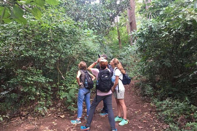 Full-Day Moshi Private Forest Walk and Local Market Tour - FAQ: Your Questions Answered