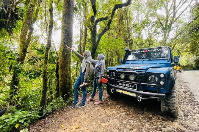 Full Day Mossy Forest Experience - Exploring the Full Day Mossy Forest Experience: A Detailed Look