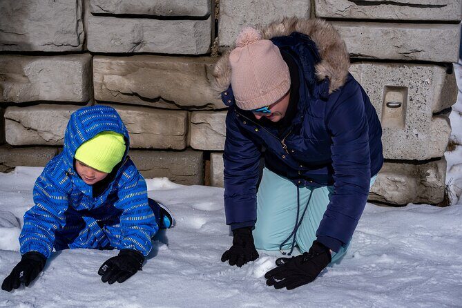 Full-Day Mount Buller Tour - Who Should Consider This Tour?