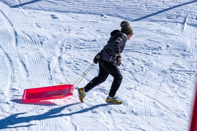 Full-Day Mount Buller Tour - The Sum Up