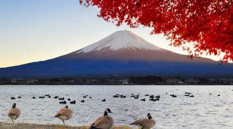 Full day Mount Fuji: Tour with an English speaking Guide - Exploring the Highlights of the Mount Fuji Tour