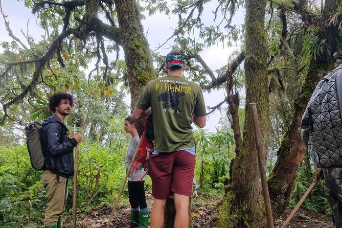 Full day Mt. Bisoke hike - Wrapping Up: Is It Worth It?