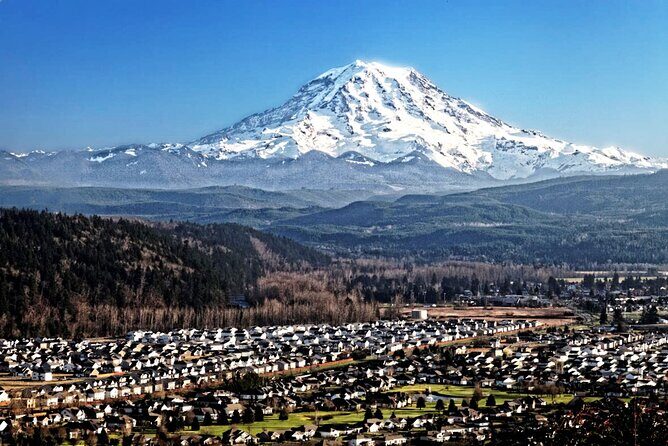 Full-Day Mt Rainier National Park Private Tour in SUV - FAQ