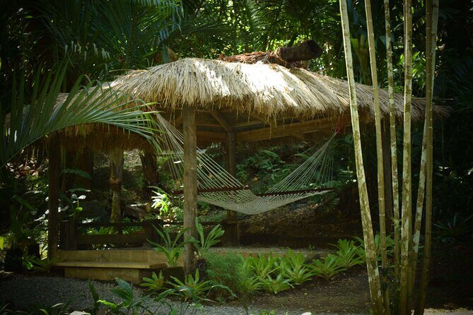 Full Day-Mudpools,Village,Temple,Sleeping Giant Gardens,Shopping Ex Coral Coast - What Travelers Should Know