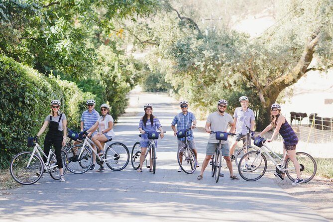 Full-Day Napa Valley E-Bike Tour with Picnic Lunch - Key Points