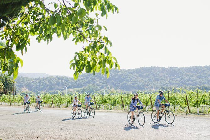 Full-Day Napa Valley E-Bike Tour with Picnic Lunch - FAQ