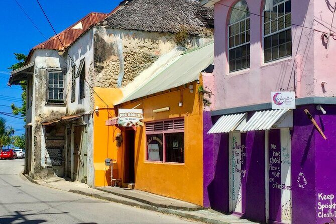 Full-Day Natural Heritage Tour in Barbados with Lunch - Key Points