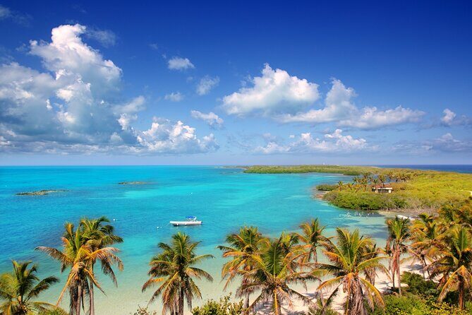 Full Day Nature Expedition to Contoy Island and Isla Mujeres - Key Points