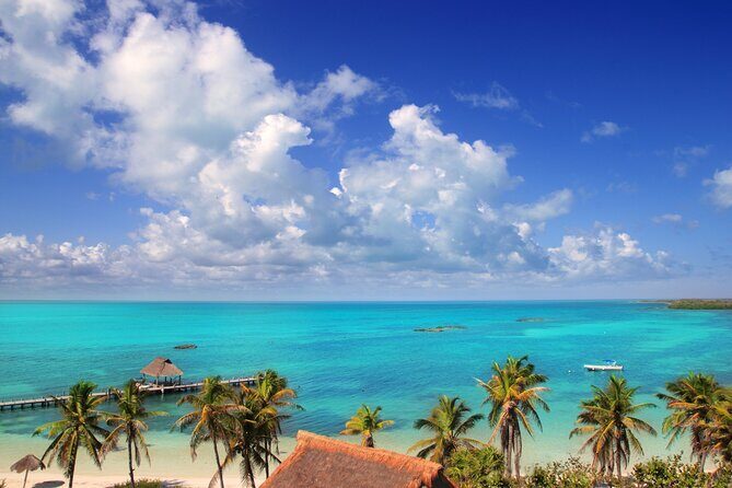 Full Day Nature Expedition to Contoy Island and Isla Mujeres - The Itinerary in Depth