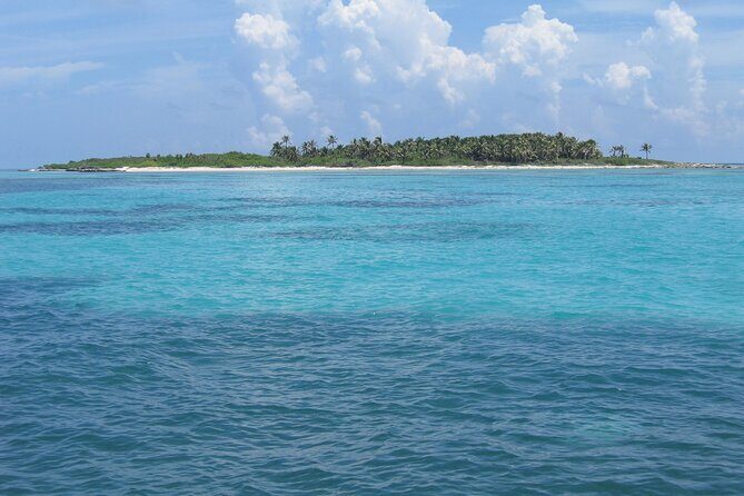 Full Day Nature Expedition to Contoy Island and Isla Mujeres - Final Thoughts: Who Is This Tour For?