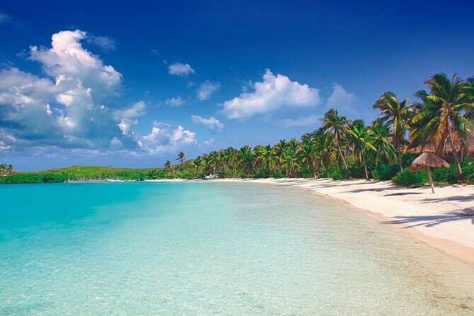 Full Day Nature Expedition to Contoy Island and Isla Mujeres - Frequently Asked Questions