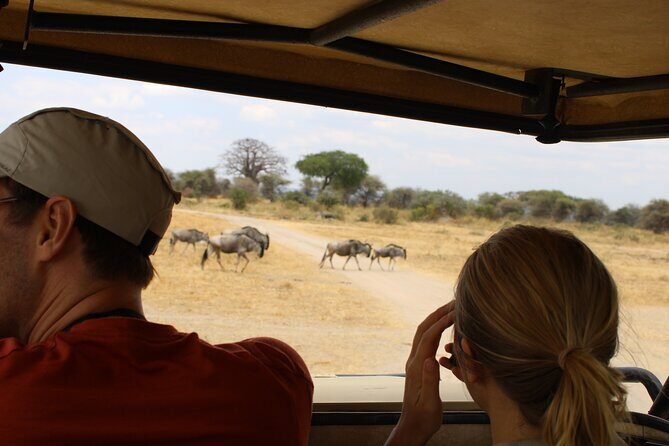 Full-Day Ngorongoro Crater private tour - The Itinerary: What You Can Expect