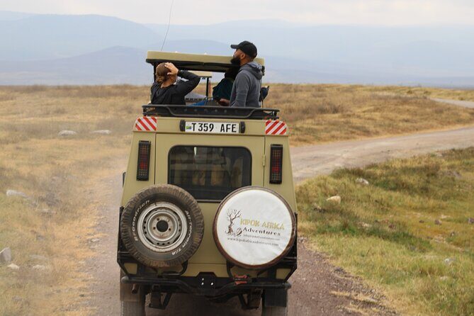 Full-Day Ngorongoro Crater private tour - The Sum Up