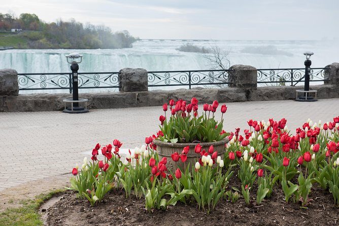 Full-Day Niagara Falls Tour from Toronto w/Boat/JBF/Tower - Frequently Asked Questions
