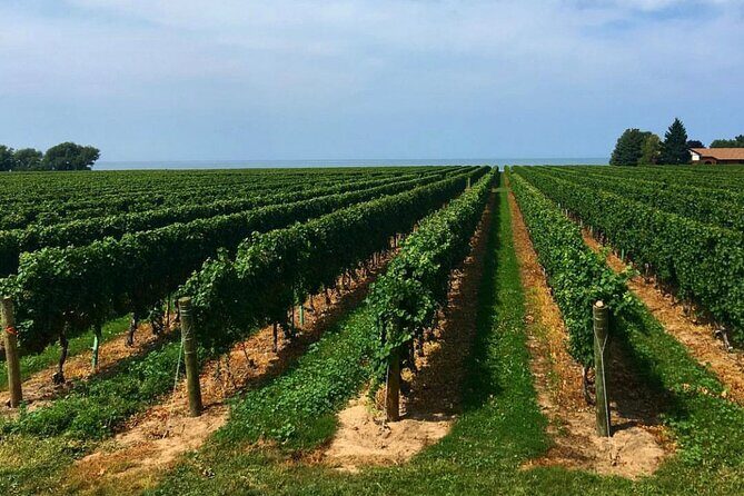 Full-Day Niagara-On-The-Lake Guided Wine and Charcuterie Tour - What Reviewers Say About the Tour