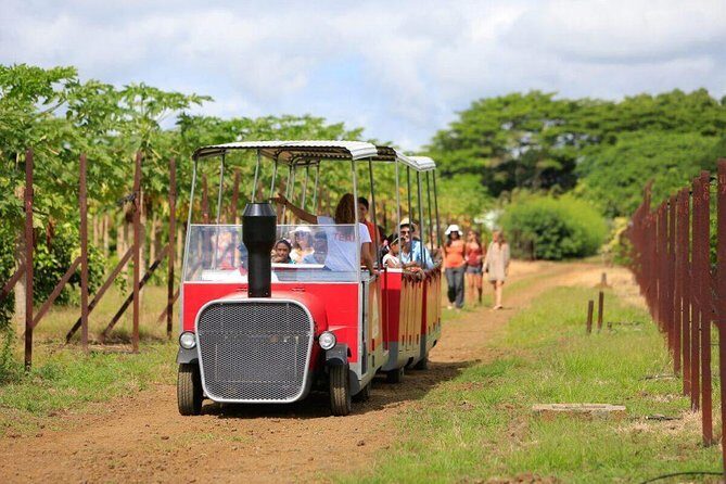 Full-Day North Tour of Mauritius, ALL INCLUSIVE Day Trip, Private SUV Car, Guide - Frequently Asked Questions