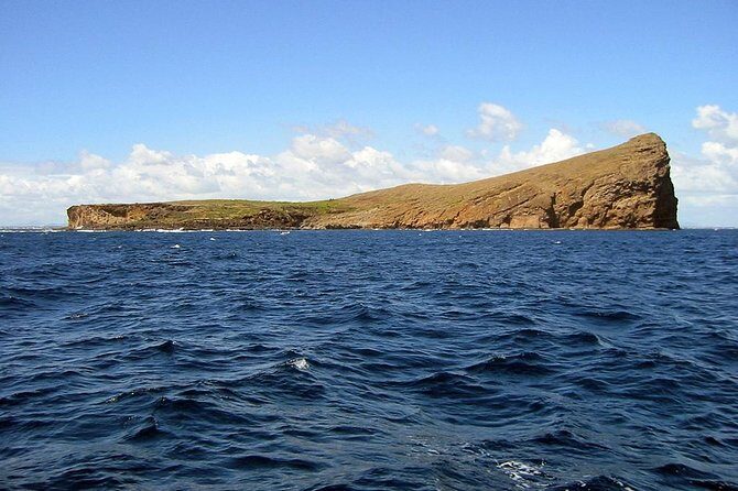 Full-Day Northern Catamaran Cruise: Coin de Mire and Ile Plate Island - Detailed Itinerary Breakdown